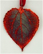 Aspen Tri Color Lace